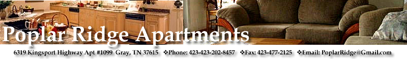 Poplar Ridge apartments offers spacious living areas, oversized closets and a private patio or balcony. 